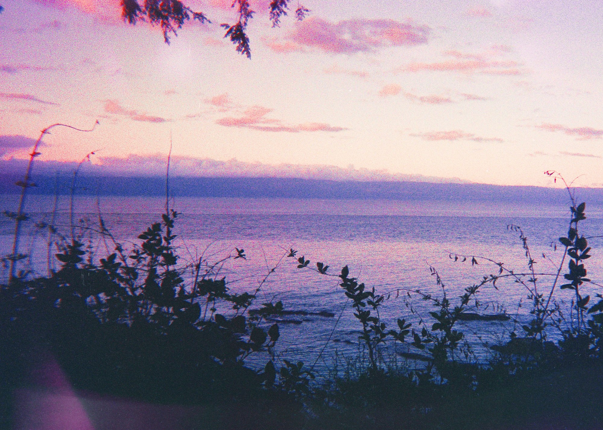 Cotton Candy I — Mayra Rae, 35mm film, 2023