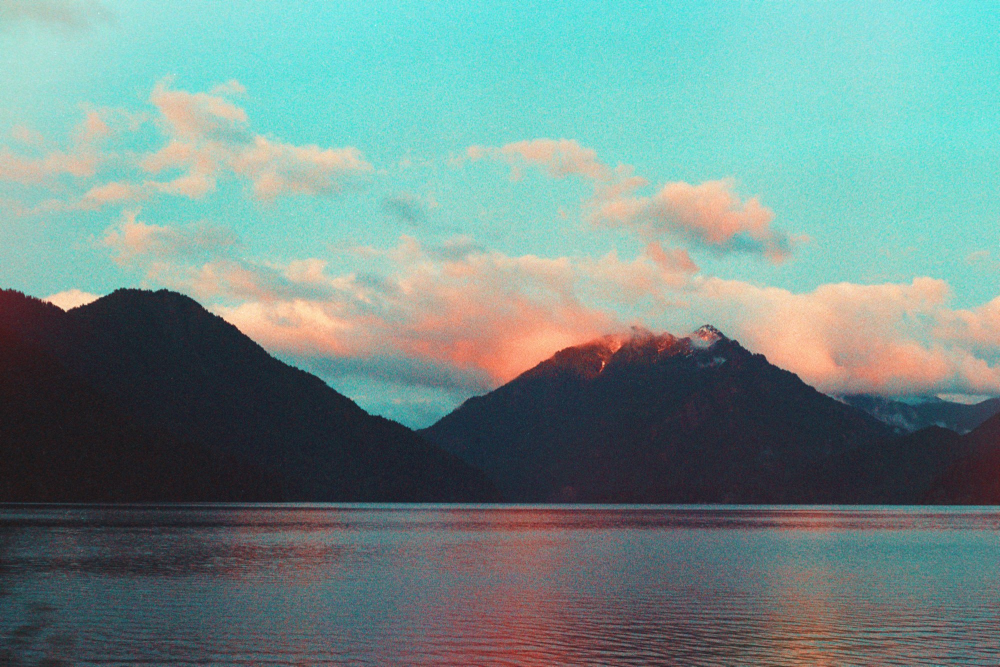 Morning Blues + Pinks — Mayra Rae, 35mm film, 2023