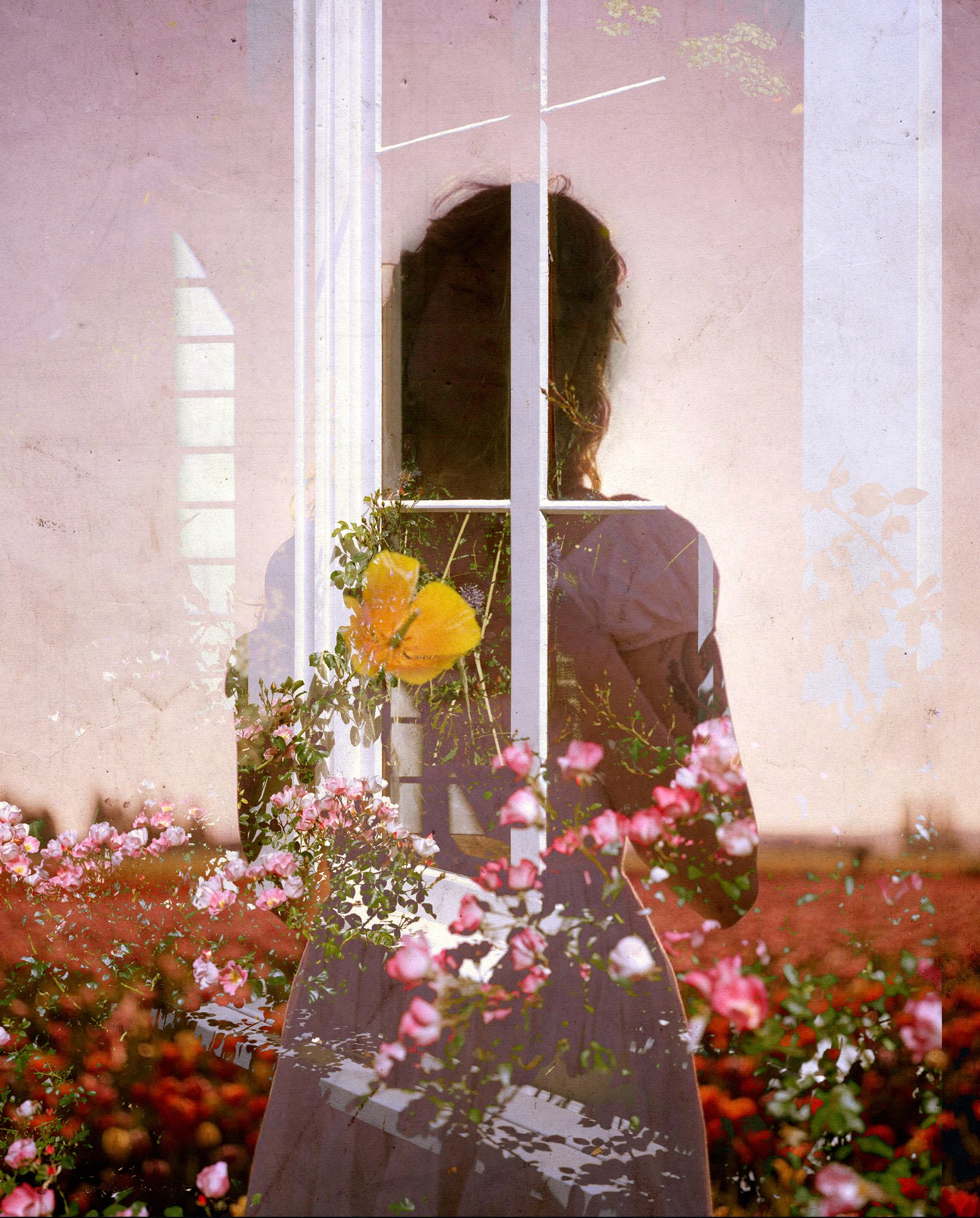 Floral Lovescapes — Mayra Rae
